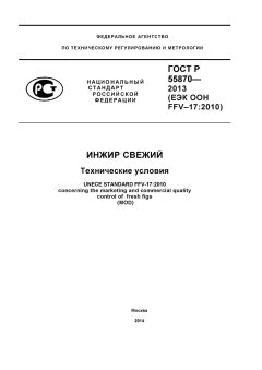 GOST R 55870-2013