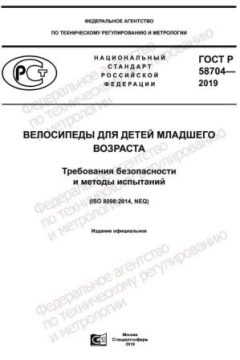 GOST R 58704-2019